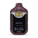 Boutiq Switch Yuzu x Ponzu Delta 9 V4 2 Gram Vape Boutiq