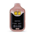 Bubblegum Runtz x Rainbow Beltz Delta 9 V4 2 Gram Vape Boutiq