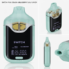 Pina Colada x Blueberry Delta 9 V4 2 Gram Vape Boutiq - Image 7