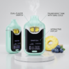 Pina Colada x Blueberry Delta 9 V4 2 Gram Vape Boutiq - Image 2