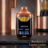 Razzberry x Cactus Cooler Delta 9 V4 2 Gram Vape Boutiq - Image 2