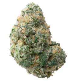Banana OG x Banana Frosting Exotic Indoor Smalls Flower