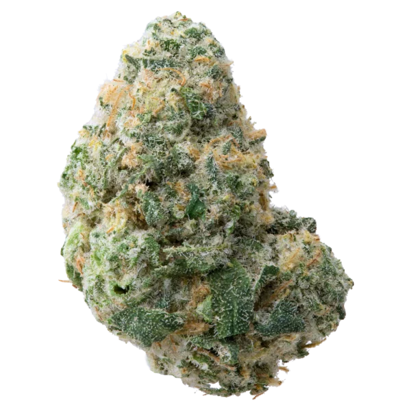 Banana OG x Banana Frosting Exotic Indoor Smalls Flower