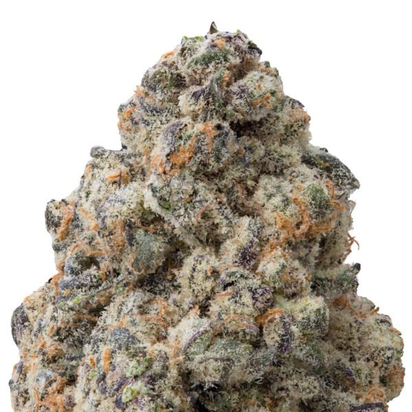 Candy Apple Exotic Indoor Flower