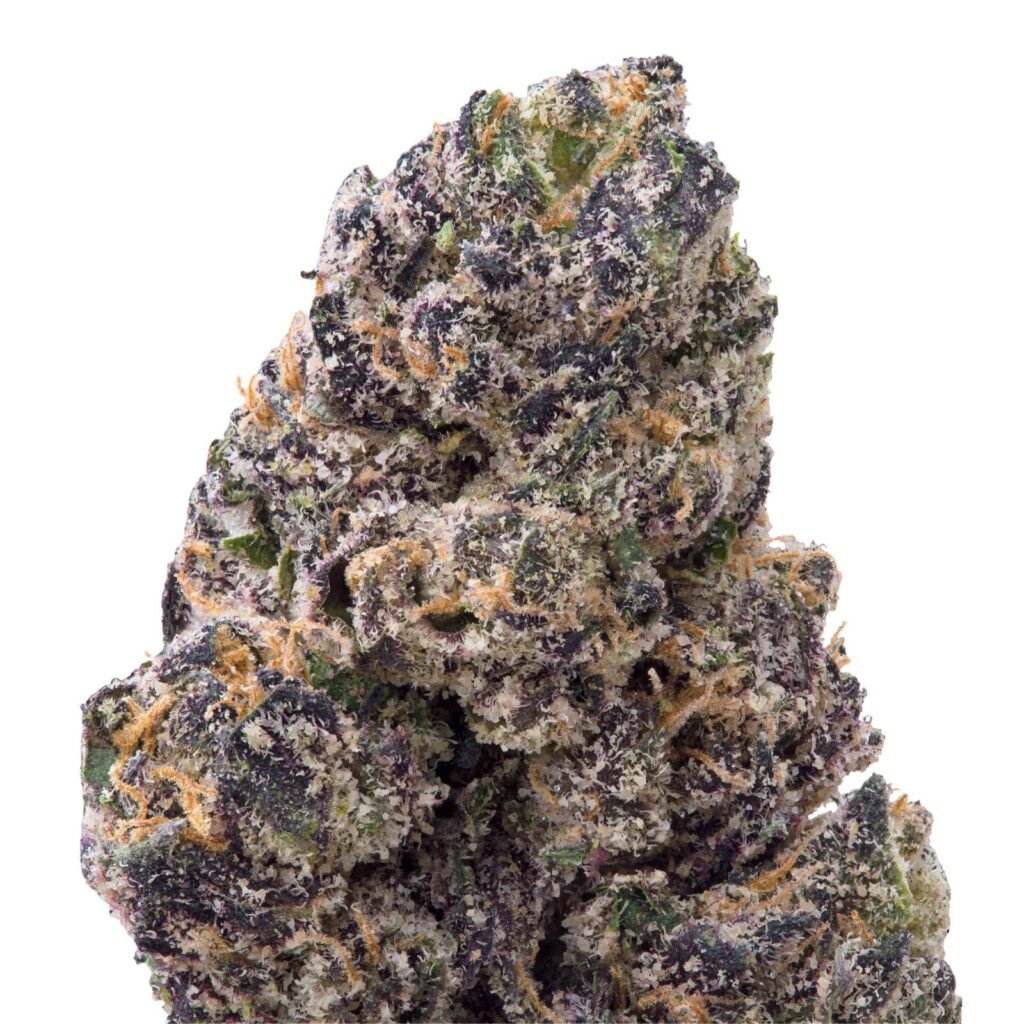Cartel Candy Exotic Indoor Flower