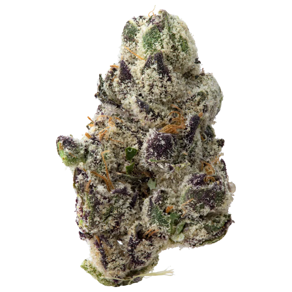 Grape Warheadz Exotic Indoor Smalls Flower