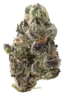 Grape Warheadz Exotic Indoor Smalls Flower