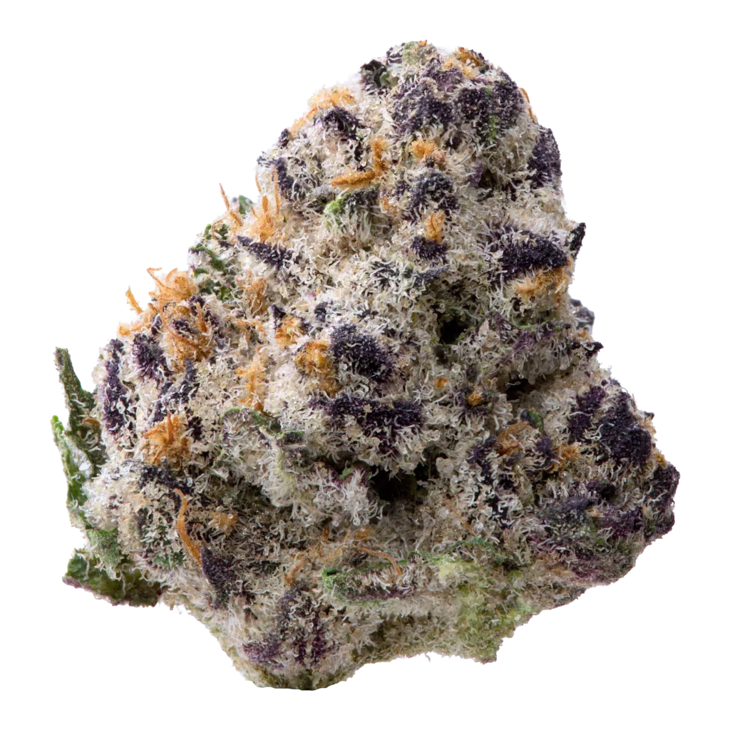 Space Station Exotic Indoor Smalls Flower