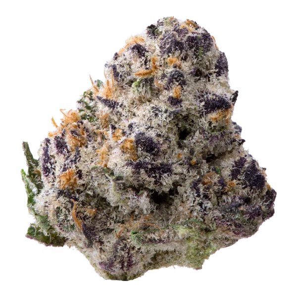 Space Station Exotic Indoor Smalls Flower