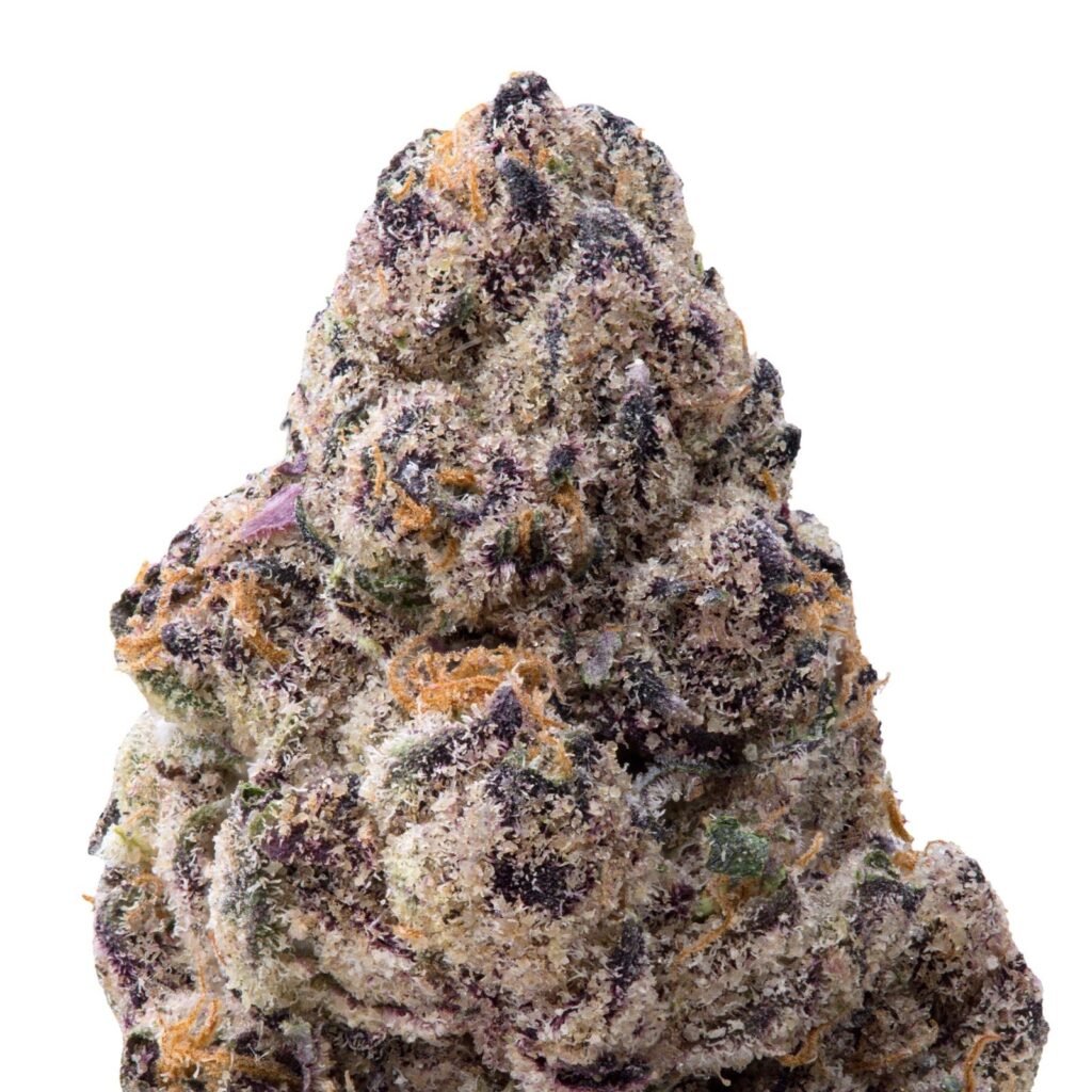 Tamale Exotic Indoor Flower