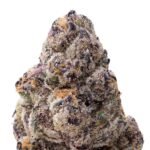 Tamale Exotic Indoor Flower