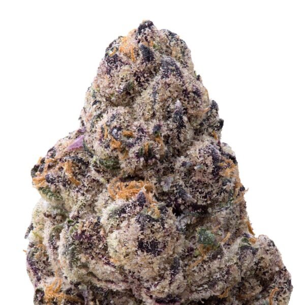 Tamale Exotic Indoor Flower